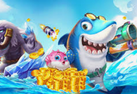 半岛星空足球app下载最新版